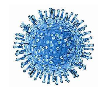 H7N9病毒高活性抗体被发现