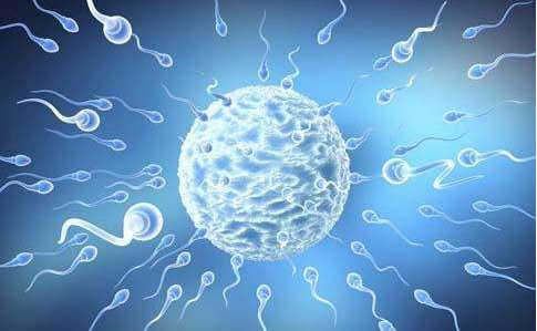 “精子”进入女人的体内，如果没受精去哪儿了？看完就笑了！