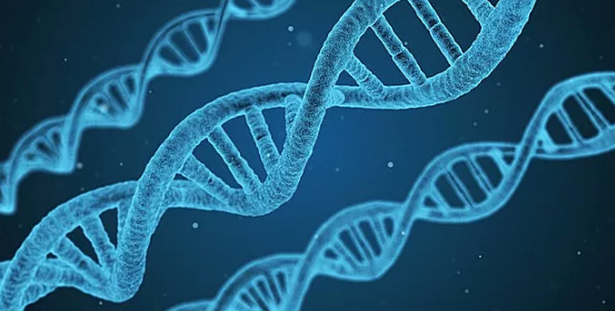 美国FDA批准基因突变试验
