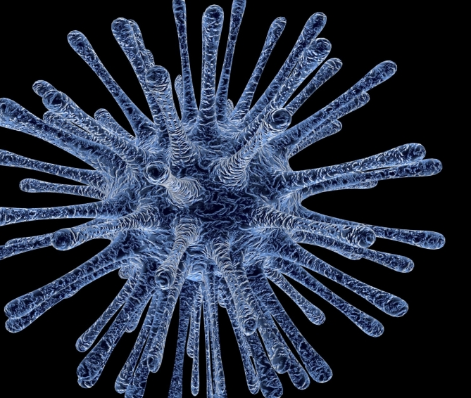 新冠肺炎急性期T細胞作用比抗體大