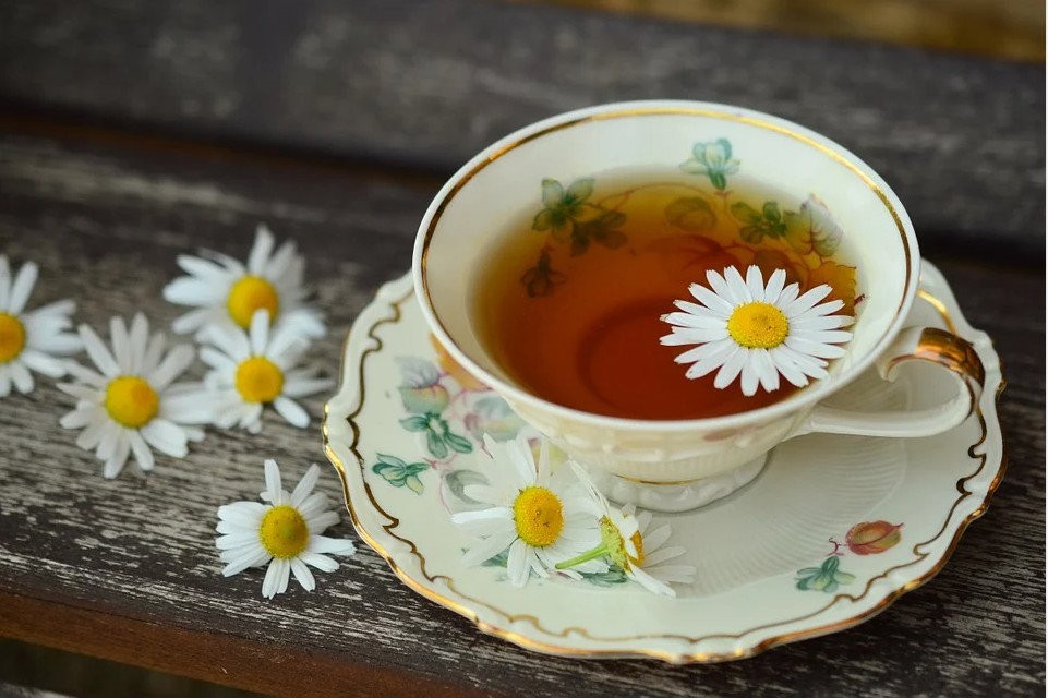 喝茶，可以清理血管，预防动脉斑块吗？