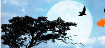 新妈妈照顾宝宝的五大误区,很多妈妈后悔没注意,第二点很容易犯