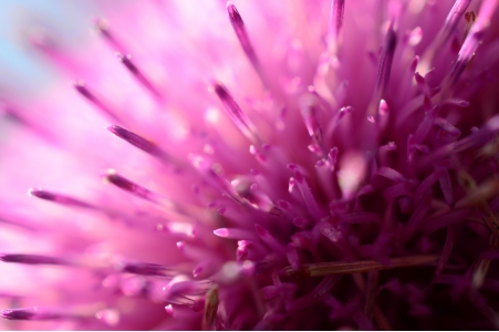 孩子爱撒娇怎么办 如何区分孩子是不是在撒娇