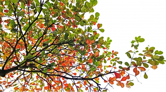 宝宝躺着喝奶容易&ldquo;地包天&rdquo;