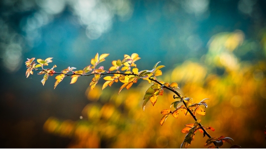 1654680627557020554.jpg 1-1Z42QQ03J07.jpg