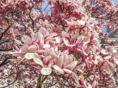 1654850739255004908.jpg 44.jpg