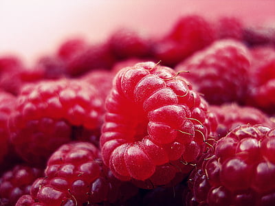 raspberry-fruits-fresh-red-thumb.jpg