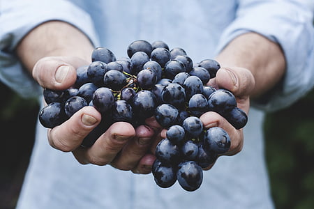 grapes-bunch-fruit-person-thumb.jpg