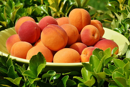 apricots-apricot-fruit-fruits-thumb.jpg
