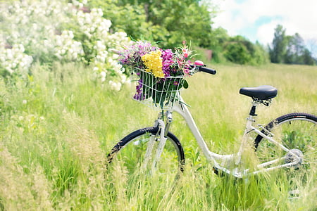 bicycle-meadow-flowers-grass-thumb.jpg