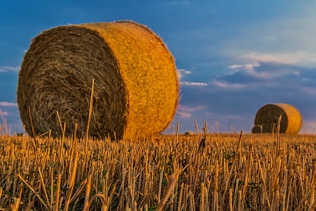 bale-straw-agriculture-harvest-thumb.jpg