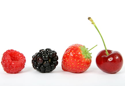 berry-black-blackberry-blueberry-thumb.jpg