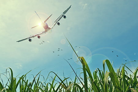 aircraft-flight-sky-grassland-thumb.jpg