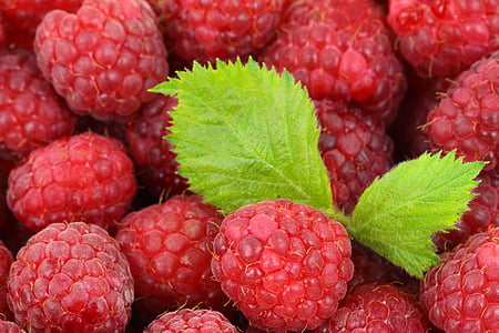 background-berry-detail-food-thumb.jpg