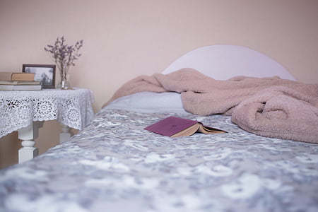 bed-bedroom-blanket-books-thumb.jpg