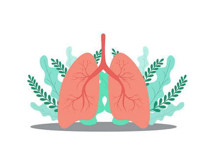 肺部.jpg
