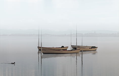 1656289278876049563.jpg boats-lake-haze-fog-thumb.jpg