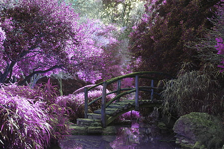 bridge-pink-blossoms-garden-thumb.jpg