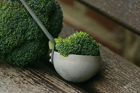 broccoli-vegetables-healthy-cook-thumb.jpg
