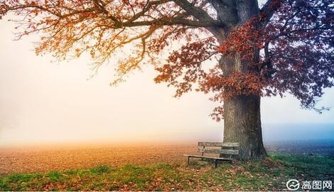 吃什么能丰胸 女人多吃4种套餐可让A变C