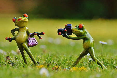 frog-photographer-model-photo-model-thumb.jpg