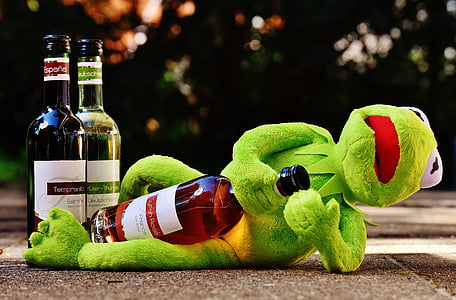 kermit-frog-wine-drink-thumb.jpg