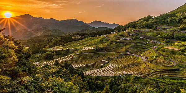 landscape-sunset-rice-terraces-tradition-thumb.jpg