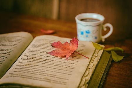 leaves-books-color-coffee-thumb.jpg