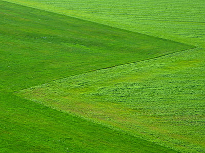 meadow-green-grass-nature-thumb.jpg