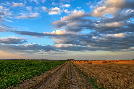nature-landscape-field-agriculture-thumb.jpg