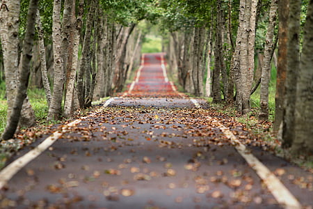 woodland-road-falling-leaf-natural-thumb.jpg