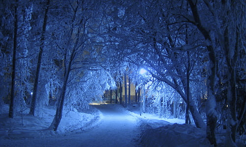 winter-night-blue-shade-thumb.jpg