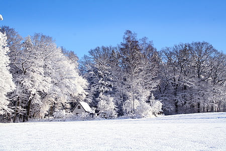 winter-landscape-snow-cold-thumb.jpg