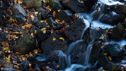 waterfall-leaves-water-nature-thumb.jpg