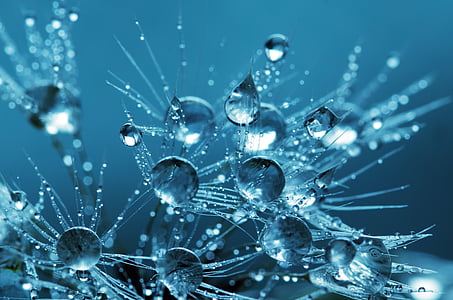 water-droplets-drops-blue-thumb.jpg