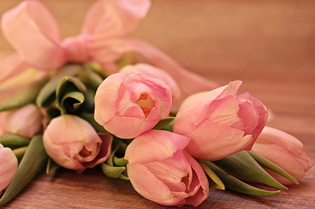 tulips-tulipa-flowers-schnittblume-thumb (1).jpg
