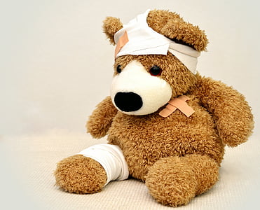 teddy-teddy-bear-association-ill-thumb.jpg