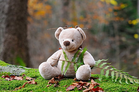 teddy-bear-bear-children-toys-forest-thumb.jpg