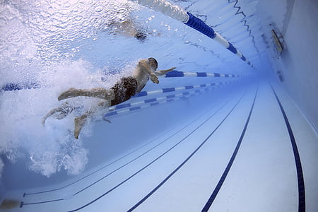 1657276286573014056.jpg swimmers-swimming-race-competition-thumb.jpg