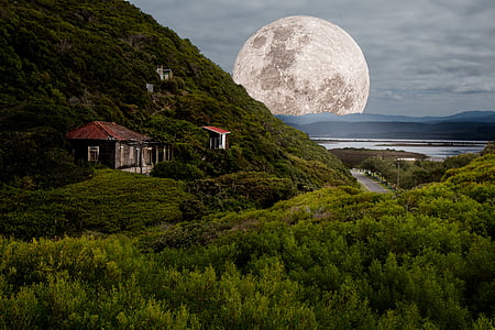 supermoon-full-moon-moonlight-night-thumb.jpg