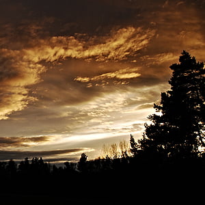 sunset-silhouettes-tree-horizon-thumb.jpg