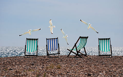summer-beach-seagulls-deckchairs-thumb.jpg