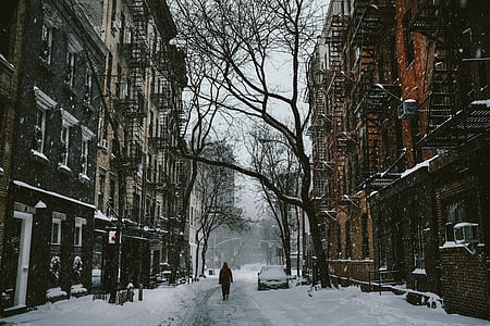 street-person-walk-snow-thumb.jpg