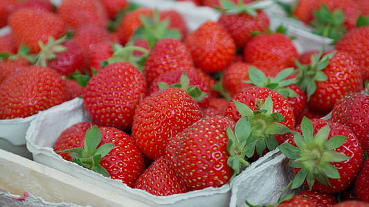 strawberries-berries-fruit-close-thumb.jpg