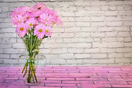 spring-flowers-daisies-pink-thumb.jpg