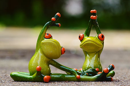 sport-gymnastics-frog-funny-thumb.jpg