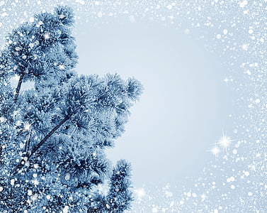 snow-christmas-holiday-frost-thumb.jpg