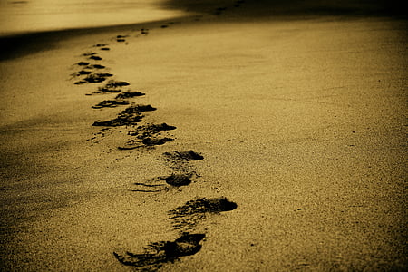 sand-footsteps-footprints-beach-thumb.jpg