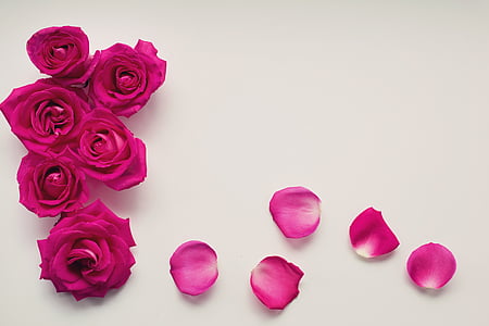 roses-petals-background-text-background-thumb.jpg