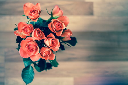 roses-flowers-bouquet-love-thumb.jpg
